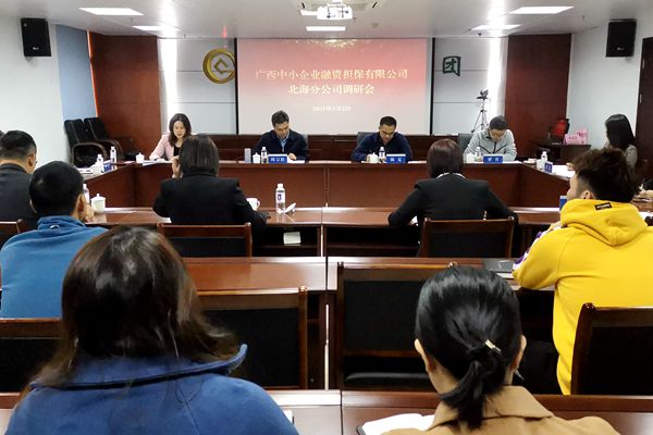 中小擔(dān)保領(lǐng)導(dǎo)赴北海、防城港調(diào)研 